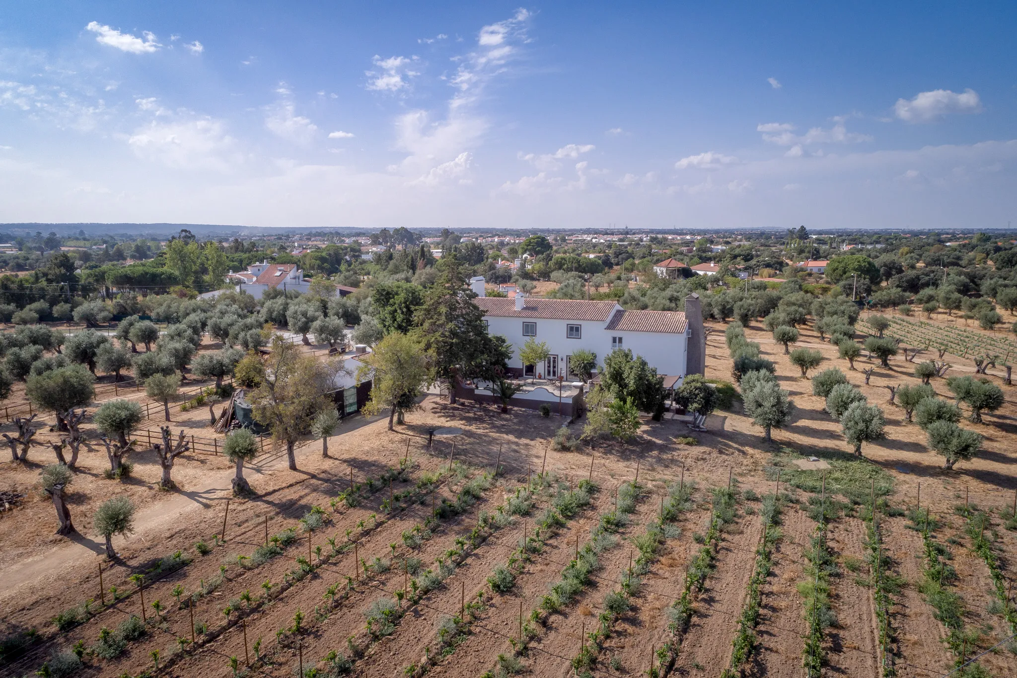 Contact Casa do Governador